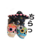 チワワのピカソ（個別スタンプ：15）