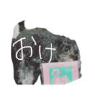 世界に晒される事を知らない黒犬（個別スタンプ：3）