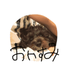 世界に晒される事を知らない黒犬（個別スタンプ：4）