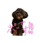 世界に晒される事を知らない黒犬（個別スタンプ：7）