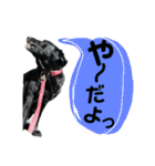 黒ラブ はなちゃん3（個別スタンプ：24）