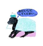 黒ラブ はなちゃん3（個別スタンプ：37）