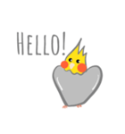 シンプルなオカメインコの日常会話（個別スタンプ：1）