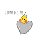 シンプルなオカメインコの日常会話（個別スタンプ：3）