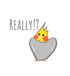 シンプルなオカメインコの日常会話（個別スタンプ：5）
