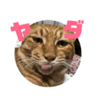 トラピチ♡（個別スタンプ：8）