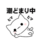 にゃんこ釣り三昧（個別スタンプ：8）