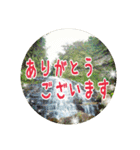 うみやま～その③八重山（個別スタンプ：9）