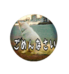 うみやま～その③八重山（個別スタンプ：12）