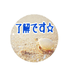 うみやま～その③八重山（個別スタンプ：14）