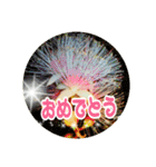 うみやま～その③八重山（個別スタンプ：16）