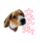 まほろのスタンプ（個別スタンプ：3）