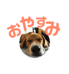 まほろのスタンプ（個別スタンプ：4）