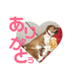 まほろのスタンプ（個別スタンプ：5）