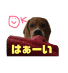まほろのスタンプ（個別スタンプ：9）