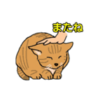釣りきち君の魚釣りスタンプ2（個別スタンプ：39）