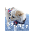 ライアン王子レディ姫、時々キララベイビー（個別スタンプ：2）
