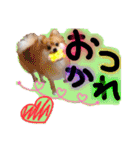 ポメラニアン♡日常用語☆（個別スタンプ：7）
