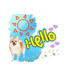 ポメラニアン♡日常用語☆（個別スタンプ：9）