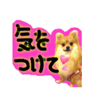 ポメラニアン♡日常用語☆（個別スタンプ：32）