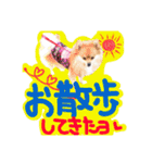 ポメラニアン♡日常用語☆（個別スタンプ：33）