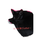 ハチリラ（個別スタンプ：5）