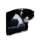 ハチリラ（個別スタンプ：7）
