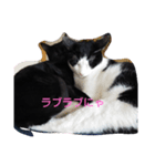 ハチリラ（個別スタンプ：8）