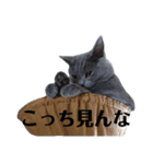 ミルのあいさつ（個別スタンプ：16）