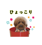 といぷー☆だらけ（個別スタンプ：9）