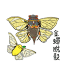 孫子の芸術イディオム 36（個別スタンプ：21）