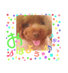 No Dog No Life.（個別スタンプ：1）