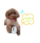 No Dog No Life.（個別スタンプ：3）