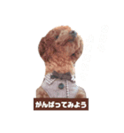 No Dog No Life.（個別スタンプ：7）