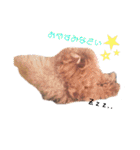 No Dog No Life.（個別スタンプ：10）