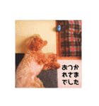 No Dog No Life.（個別スタンプ：11）