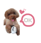 No Dog No Life.（個別スタンプ：15）