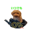 No Dog No Life.（個別スタンプ：16）