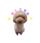 No Dog No Life.（個別スタンプ：18）