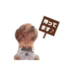 No Dog No Life.（個別スタンプ：20）