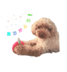 No Dog No Life.（個別スタンプ：21）