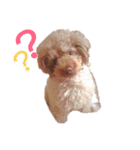 No Dog No Life.（個別スタンプ：25）