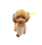 No Dog No Life.（個別スタンプ：26）