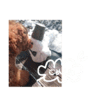 No Dog No Life.（個別スタンプ：29）