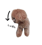 No Dog No Life.（個別スタンプ：32）