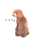 No Dog No Life.（個別スタンプ：33）