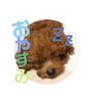 myココスタンプ（個別スタンプ：9）