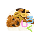 myココスタンプ（個別スタンプ：11）
