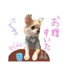 Ohanaのスタンプ（個別スタンプ：3）