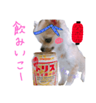 Ohanaのスタンプ（個別スタンプ：7）